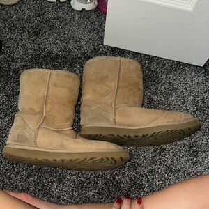Tan Uggs Size 8